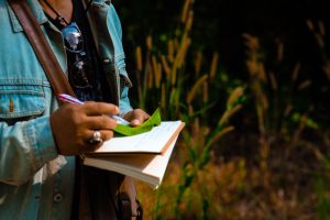 ESTUDO DE VIABILIDADE AMBIENTAL – EVA