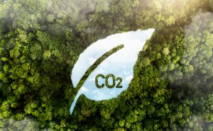 PROJETOS DE CRÉDITO DE CARBONO