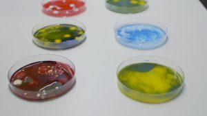 Caracterizações físico-químicas, mecânicas e biológicas in vitro de biomateriais