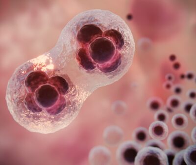 Fiocruz Bahia e SENAI CIMATEC vão realizar ensaio clínico com células-tronco para tratamento de paraplegia