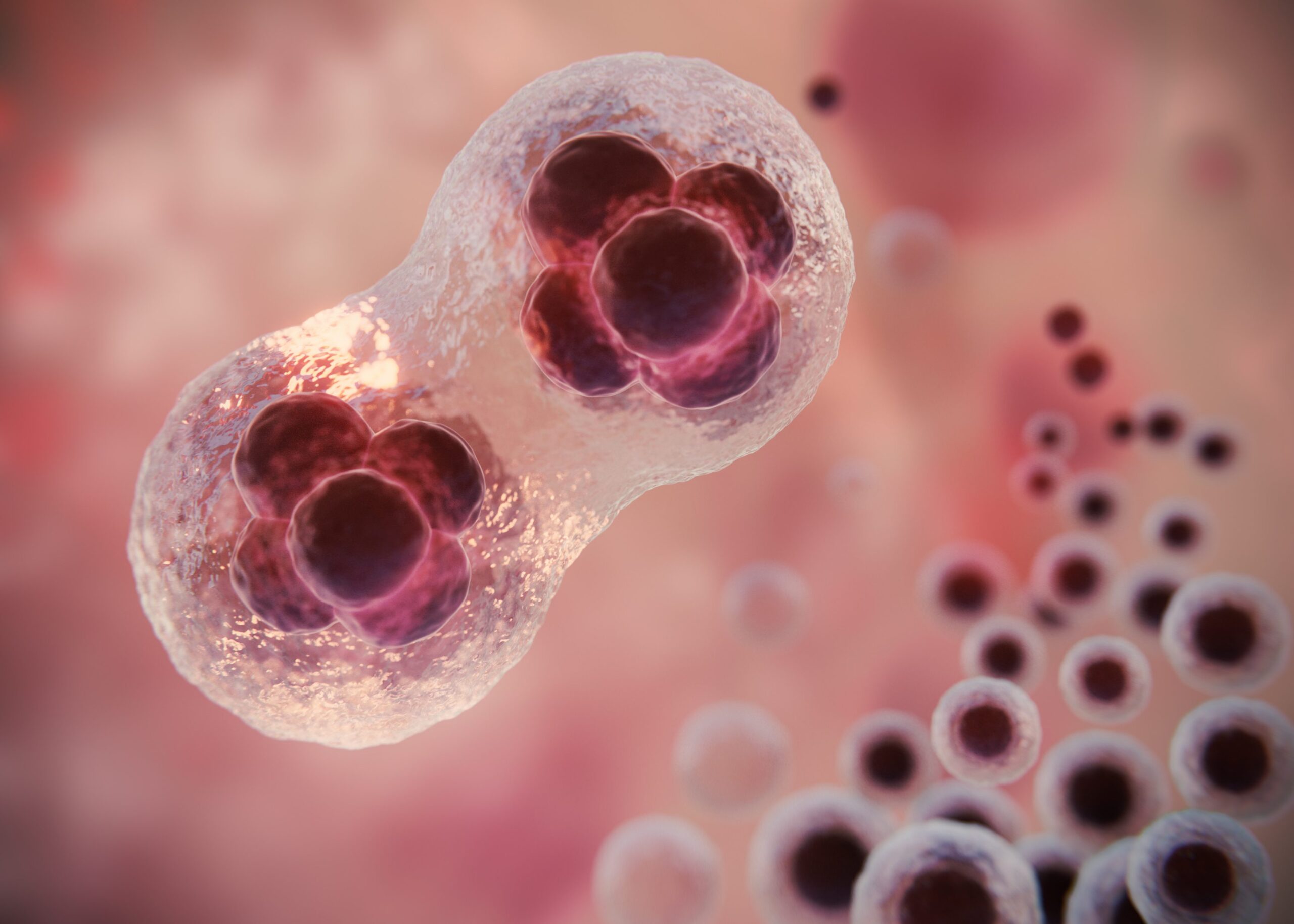 Fiocruz Bahia e SENAI CIMATEC vão realizar ensaio clínico com células-tronco para tratamento de paraplegia