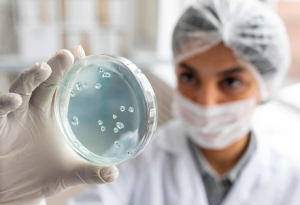 Identificação e Seleção de microrganismos de alto desempenho para expressão de proteínas para fins alimenticios