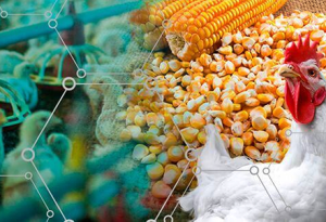 Aplicação de enzimas para melhoria de processos