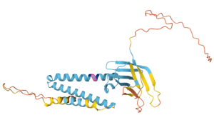 Serviços de Bioinformática com Supercomputação (HPC)